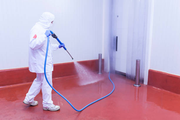 Best Pre-Holiday Cleaning  in Red Boiling Springs, TN